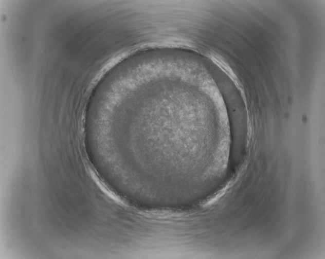 X0000085810389200704131952