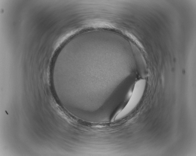 X0000085810391200704131952