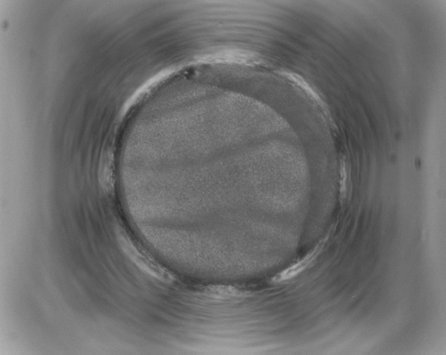 X0000085810392200704131952