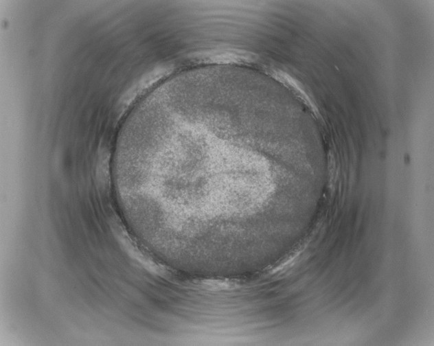 X0000085810394200704131952