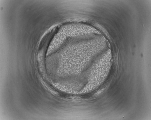 X0000085810395200704131952