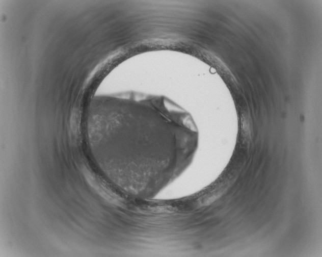 X0000085810396200704131952