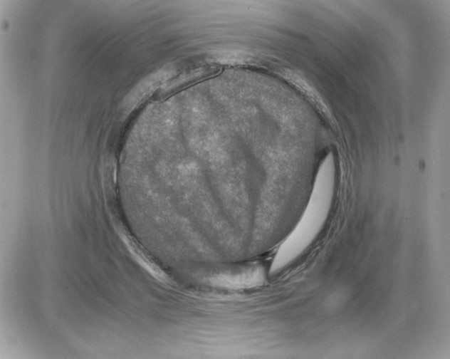 X0000085810397200704131952