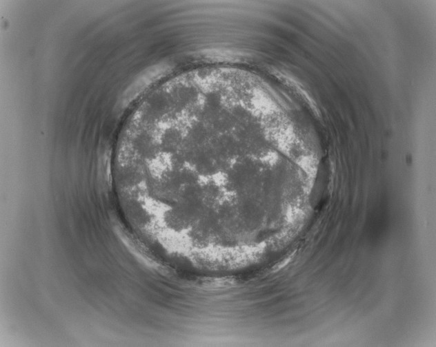 X0000085810398200704131952