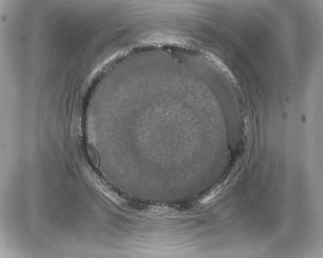 X0000085810399200704131952