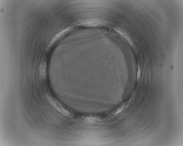 X0000085810400200704131952