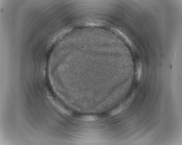 X0000085810402200704131952