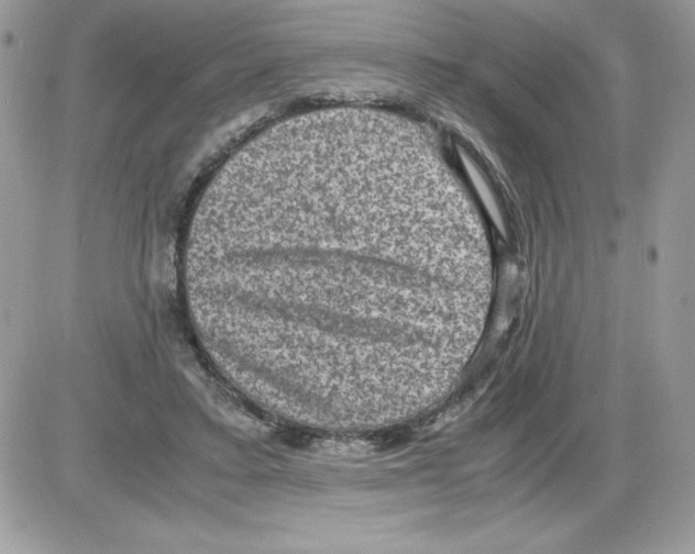 X0000085810403200704131952