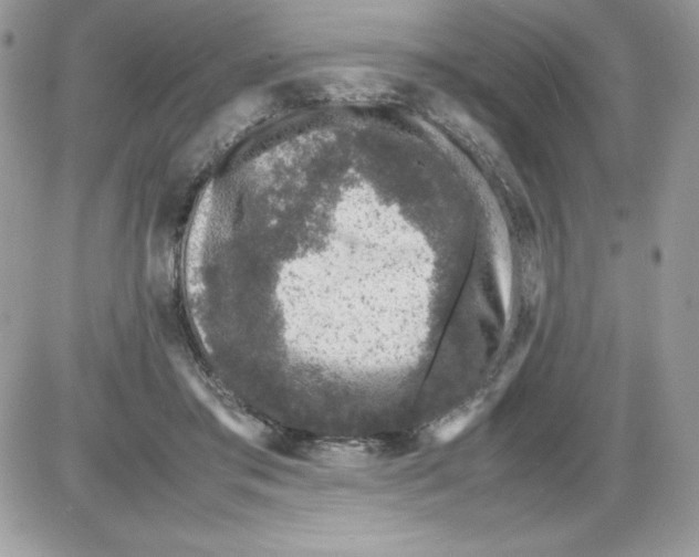 X0000085810405200704131951