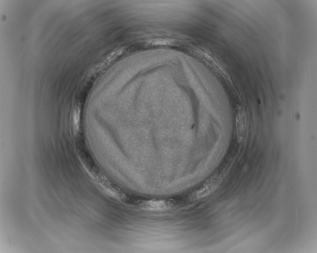 X0000085810406200704131951