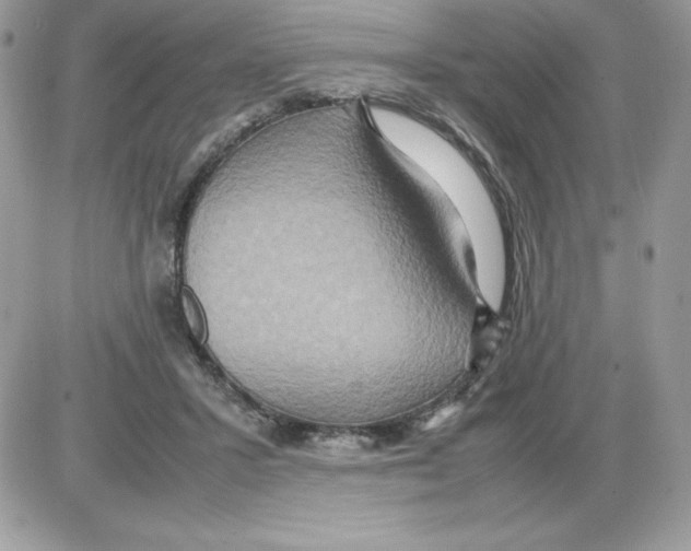 X0000085810407200704131951