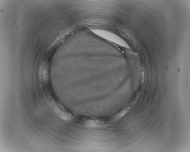 X0000085810408200704131951