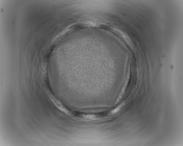 X0000085810409200704131951