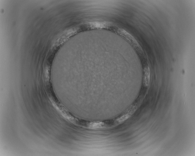 X0000085810410200704131951