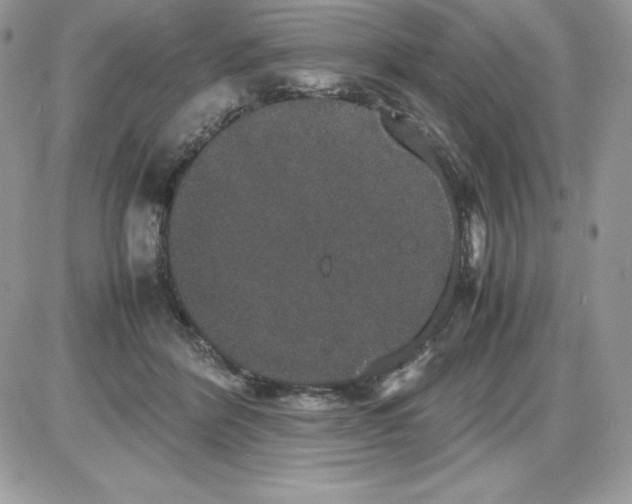 X0000085810412200704131951