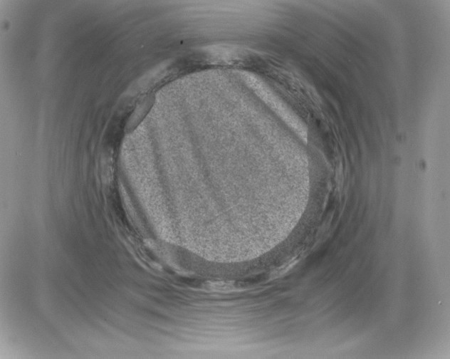 X0000085810413200704131951