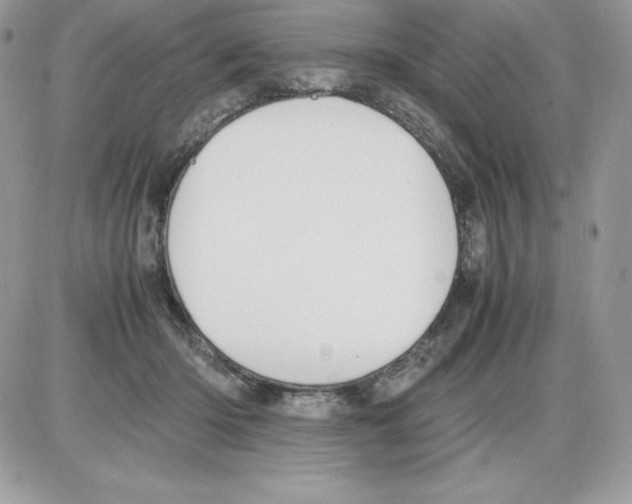 X0000085810414200704131951