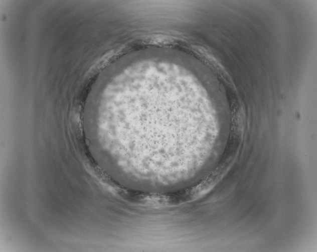 X0000085810415200704131951