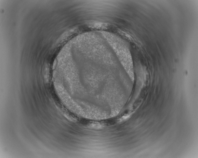 X0000085810416200704131951