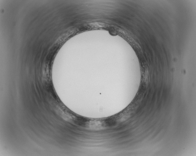 X0000085810418200704131951