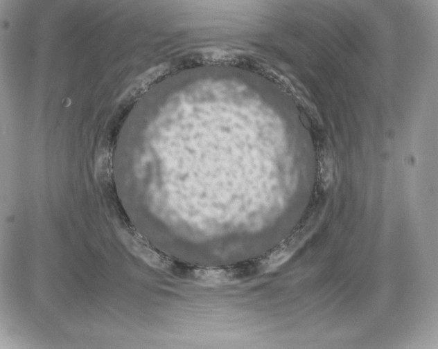 X0000085810419200704131951