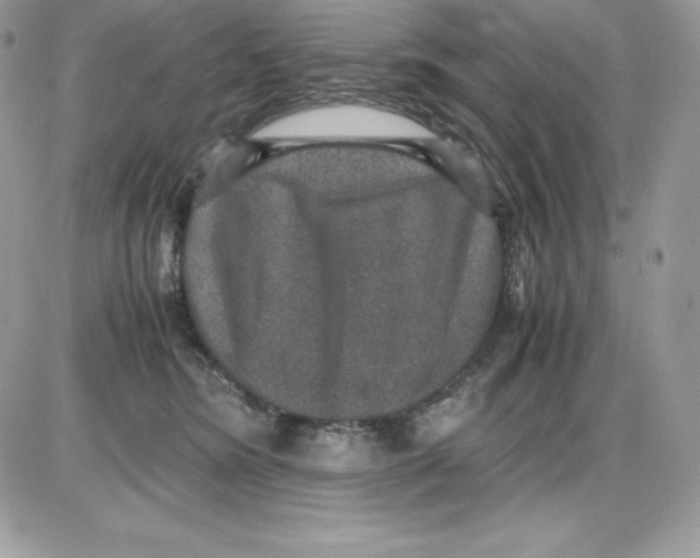 X0000085810420200704131951