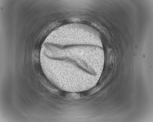 X0000085810421200704131951