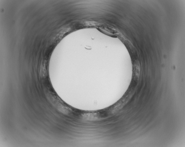 X0000085810422200704131951