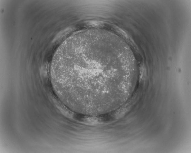 X0000085810423200704131951