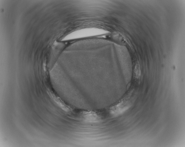 X0000085810424200704131951