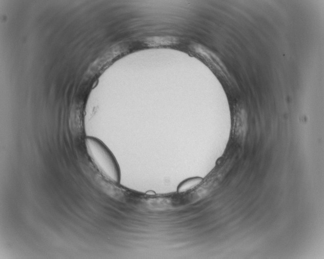 X0000085810426200704131951