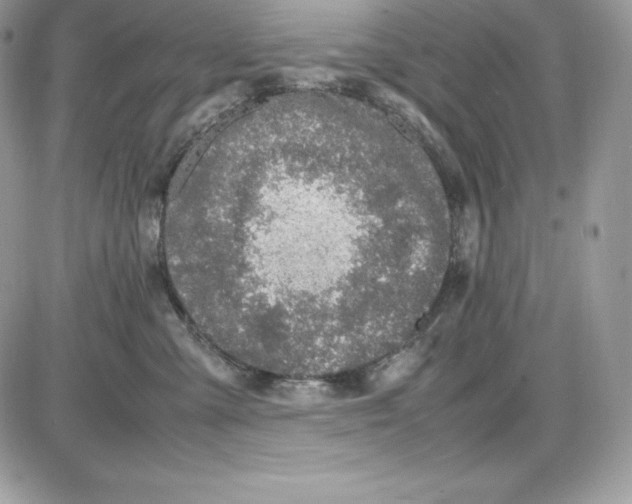 X0000085810427200704131951