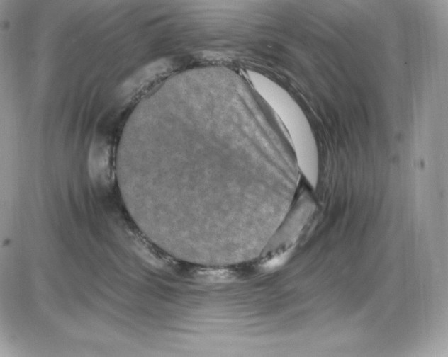 X0000085810428200704131951