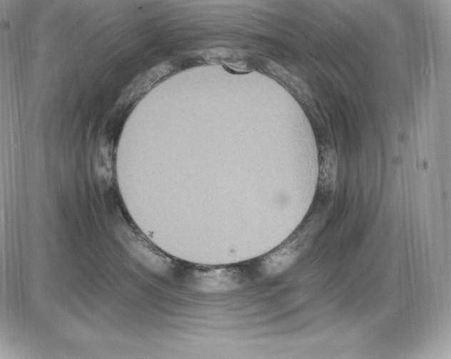 X0000085810430200704131951