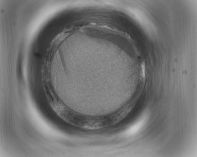 X0000085810431200704131951