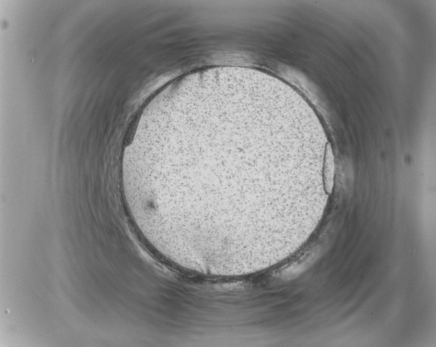 X0000085810433200704131950