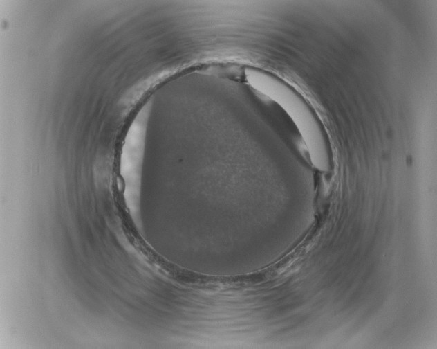 X0000085810434200704131950