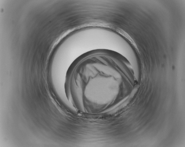 X0000085810436200704131950