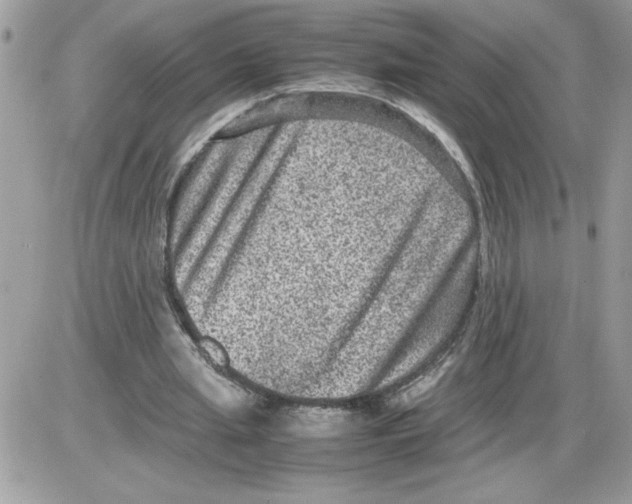 X0000085810437200704131950