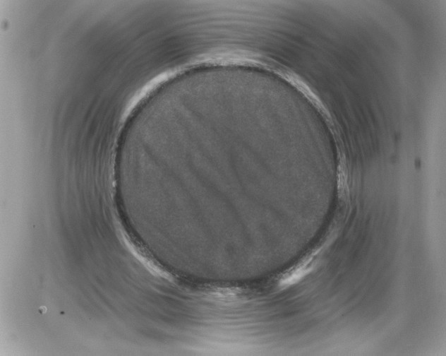 X0000085810438200704131950