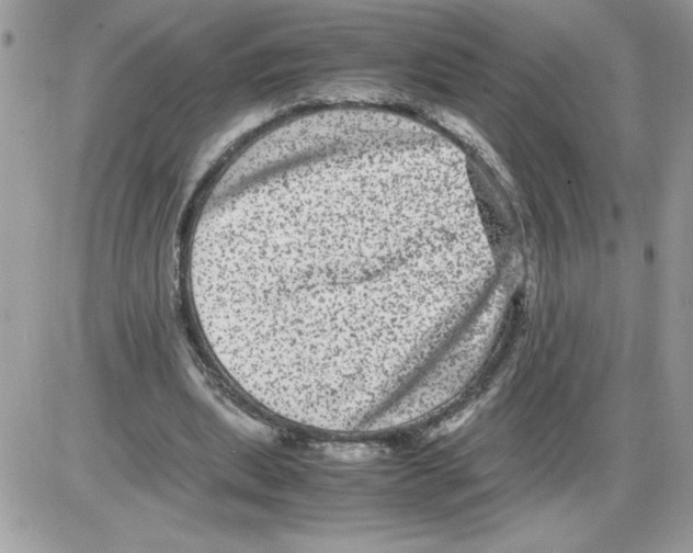 X0000085810439200704131950