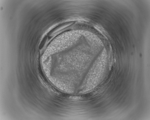 X0000085810440200704131950