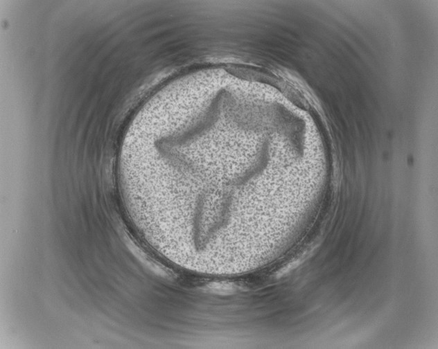 X0000085810441200704131950