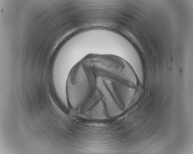 X0000085810444200704131950