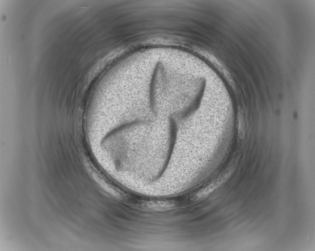 X0000085810445200704131950