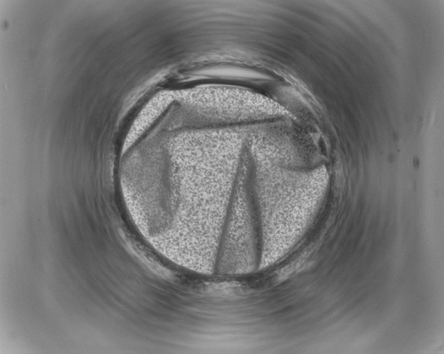 X0000085810446200704131950