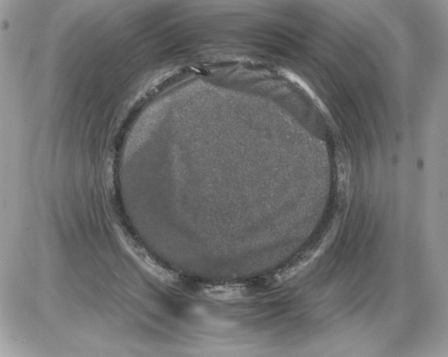 X0000085810447200704131950