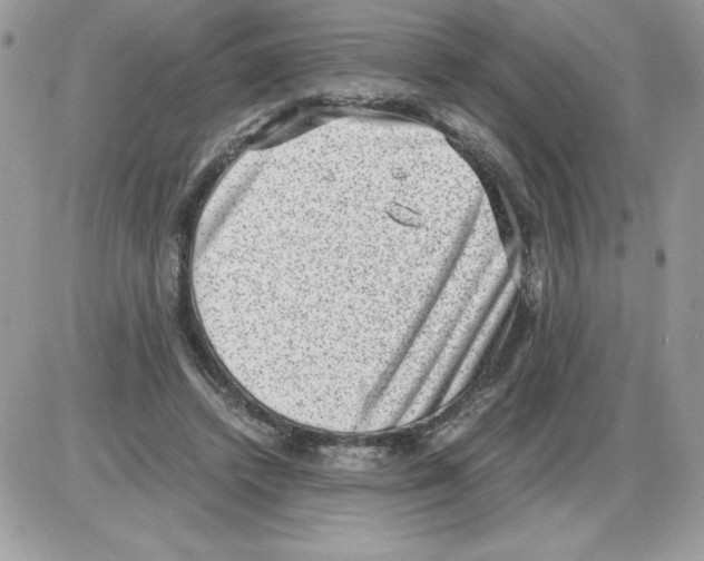 X0000085810448200704131950