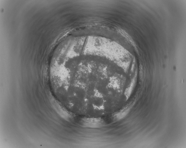 X0000085810449200704131951