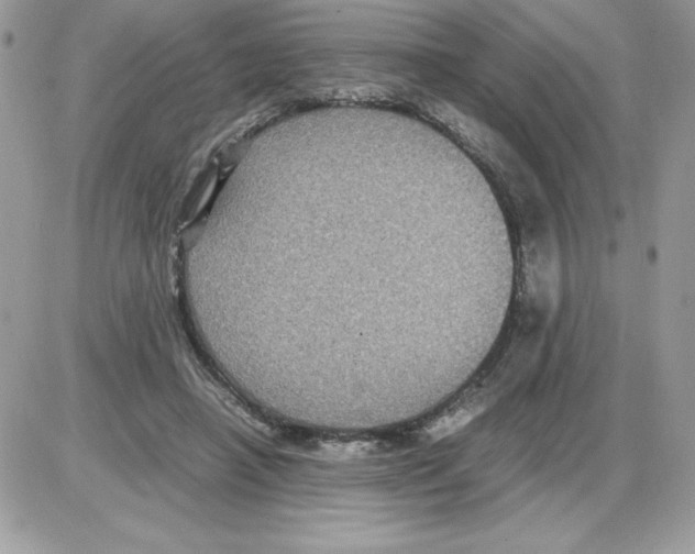 X0000085810450200704131951